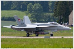 2019-Payerne-Schweizer-Luftwaffe-F18-Hornet_058