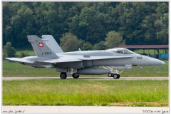 2019-Payerne-Schweizer-Luftwaffe-F18-Hornet_065