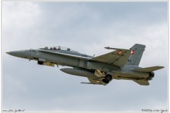 2019-Payerne-Schweizer-Luftwaffe-F18-Hornet_068
