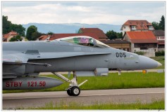 2019-Payerne-Schweizer-Luftwaffe-F18-Hornet_074