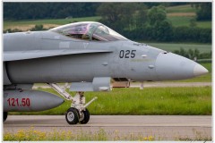 2019-Payerne-Schweizer-Luftwaffe-F18-Hornet_075