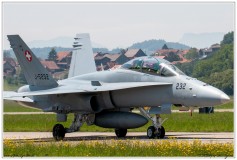 2019-Payerne-Schweizer-Luftwaffe-F18-Hornet_015
