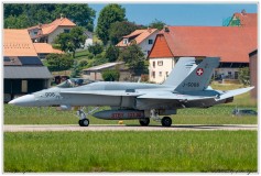 2019-Payerne-Schweizer-Luftwaffe-F18-Hornet_022