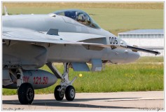 2019-Payerne-Schweizer-Luftwaffe-F18-Hornet_031