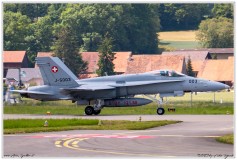 2019-Payerne-Schweizer-Luftwaffe-F18-Hornet_036