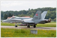 2019-Payerne-Schweizer-Luftwaffe-F18-Hornet_044