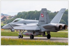 2019-Payerne-Schweizer-Luftwaffe-F18-Hornet_045