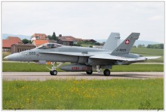 2019-Payerne-Schweizer-Luftwaffe-F18-Hornet_053