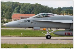 2019-Payerne-Schweizer-Luftwaffe-F18-Hornet_054