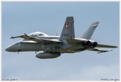 2019-Payerne-Schweizer-Luftwaffe-F18-Hornet_070
