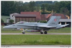 2019-Payerne-Schweizer-Luftwaffe-F18-Hornet_072