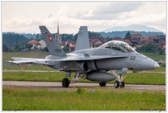 2019-Payerne-Schweizer-Luftwaffe-F18-Hornet_077