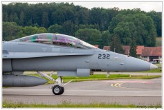 2019-Payerne-Schweizer-Luftwaffe-F18-Hornet_078