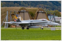 2019-Meiringen-F-18-Puma-EC-635-011