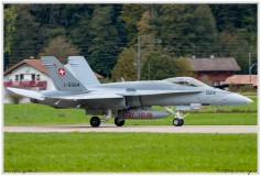 2019-Meiringen-F-18-Puma-EC-635-024