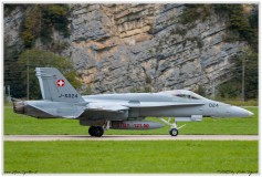 2019-Meiringen-F-18-Puma-EC-635-025