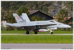 2019-Meiringen-F-18-Puma-EC-635-043