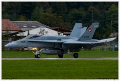 2019-Meiringen-F-18-Puma-EC-635-071