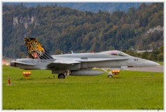 2019-Meiringen-F-18-Puma-EC-635-013
