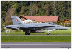 2019-Meiringen-F-18-Puma-EC-635-044