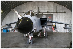 2007-Piacenza-AMX-F-16-Tornado-012